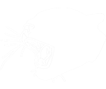 Puma Press Logo